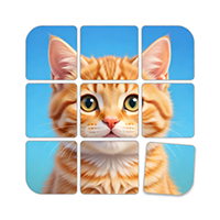 Jigsaw Puzzle